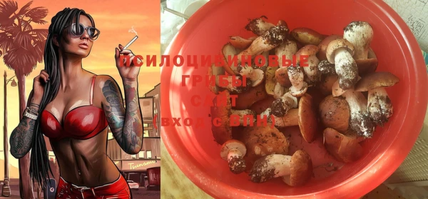 ALPHA-PVP Мегион