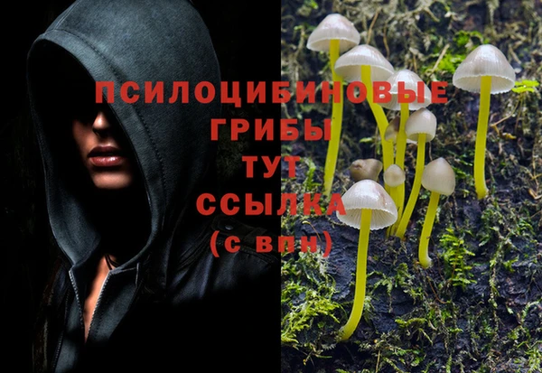 кокаин Медногорск